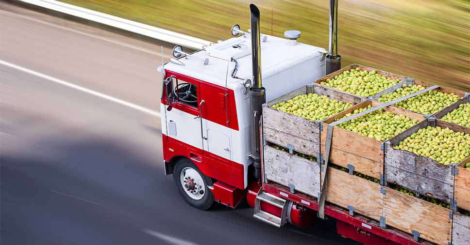 Transporte de alimentos: aprenda os cuidados essenciais antes de chegar à mesa